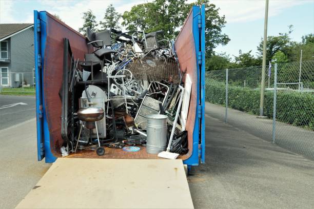 Best Yard Cleanup Services  in New Paris, IN