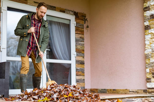 Best Construction Debris Removal  in New Paris, IN